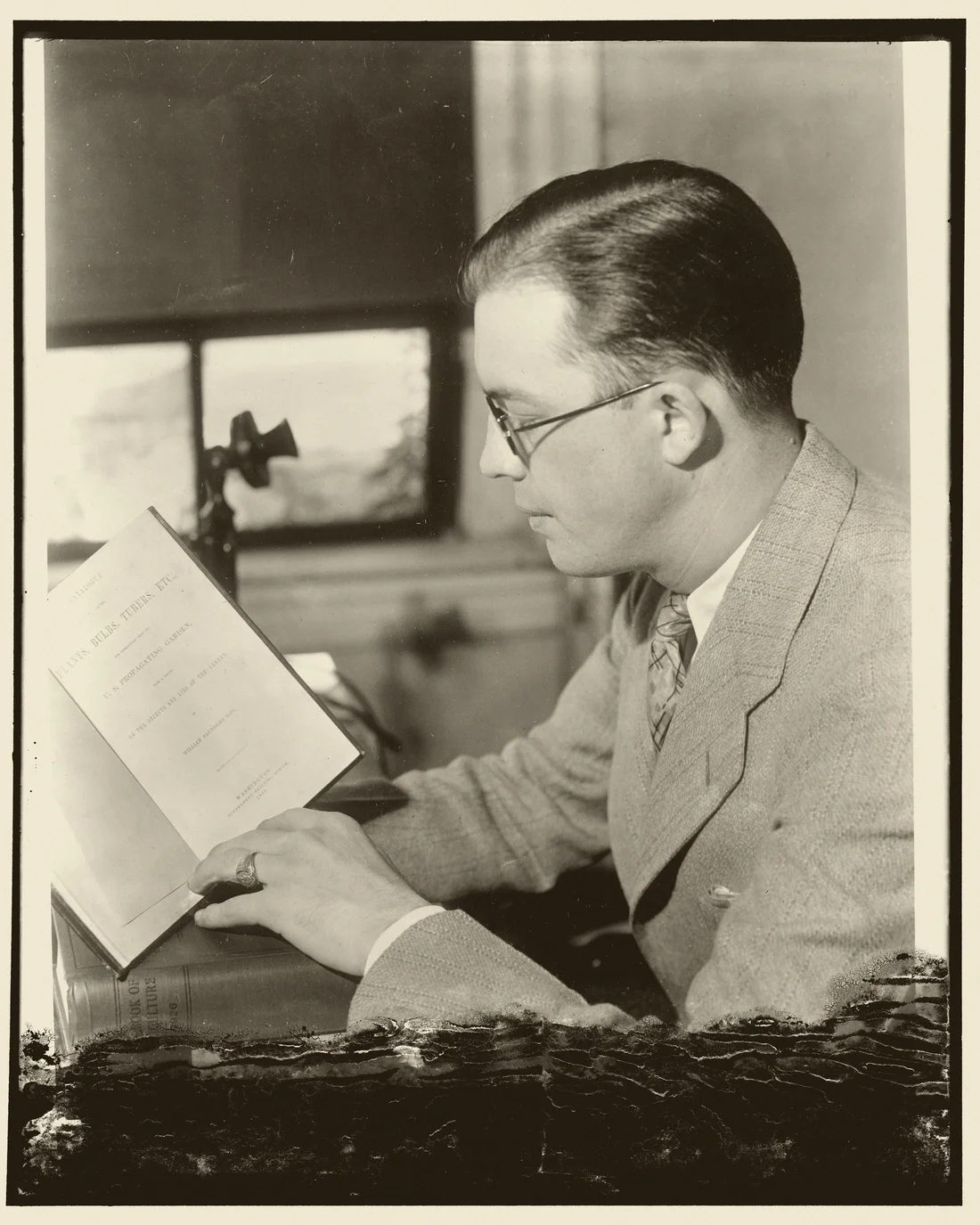 Retrato de arquivo, anos 1930: homem de óculos em um momento tranquilo de leitura